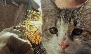 回答朋友们的一些问题：“鲁斯”50多天毙敌27人，到底可不可信？