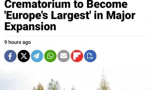 俄军今年每天损失一个营？俄罗斯男女比例悬殊，欧洲最大火葬场