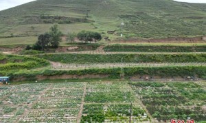 （乡村行·看振兴）长城脚下长城寨：盘活闲置农房 兴起乡村旅游