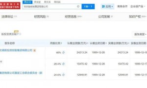 宗馥莉辞职原因曝光：将独立经营“娃小宗”！辞职当天旗下公司宣布将使用“娃小宗”，她仍是娃哈哈第二大股东