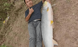 男子钓上79斤大鱼，背着在街上显摆20多分钟，当事人：有人想出1000元买，自己没卖