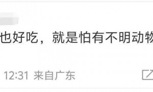 浙江一居民楼出现空心菜“瀑布”，从五楼阳台一直垂落到一楼，网友：吃不完，根本吃不完